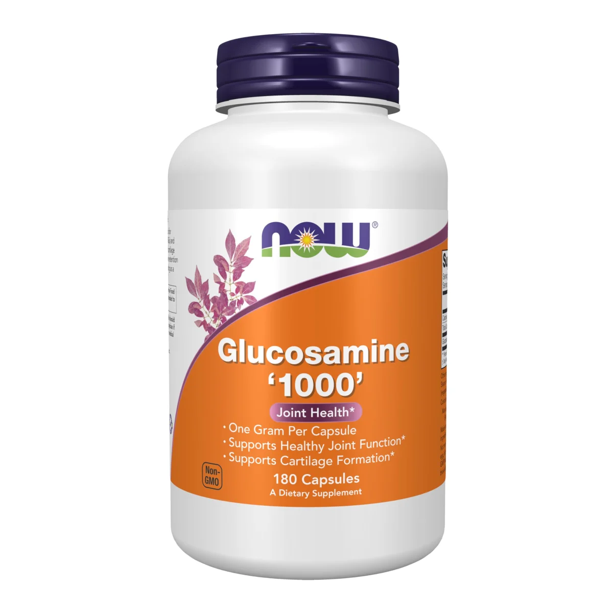 GLUCOSAMINE 1000 NOW