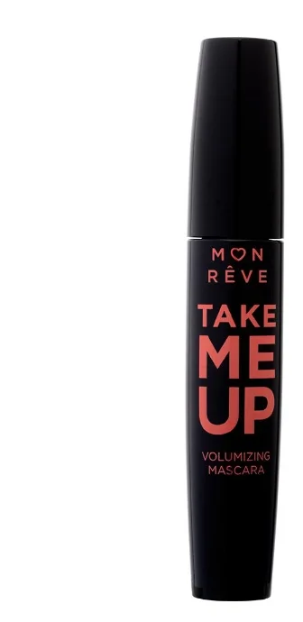 TAKE ME UP MON REVE